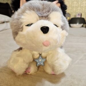 Little Live Pet Husky Puppy No Bottle|Light Clng Required|4 AAA Not Included